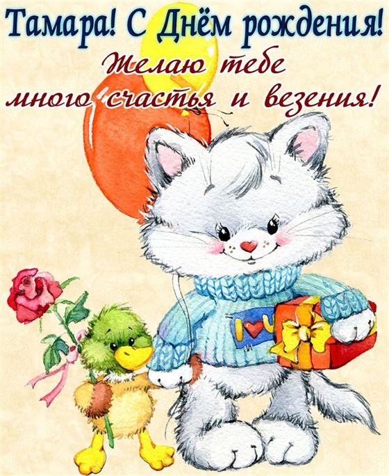Прикольная открытка для Тамары на День рождения с котиком