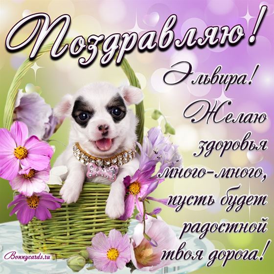 Милый пёсик в корзине поздравляет Эльвиру с Днем рождения