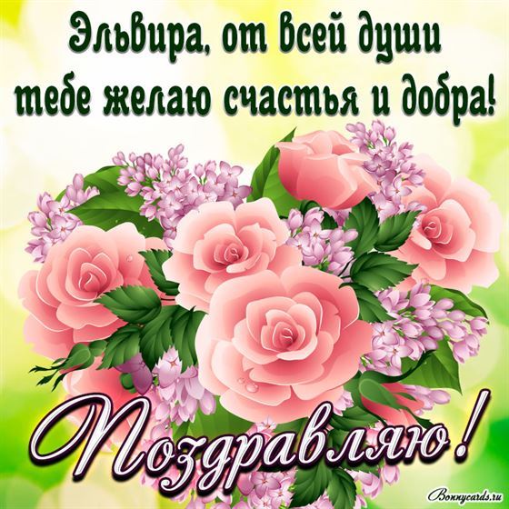 Яркая картинка с розовыми розочками и поздравлением Эльвире