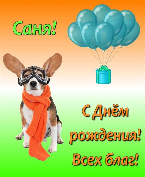 Смешная открытка с собачкой на День рождения Саше