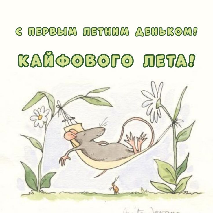 Мышка отдыхает в гамаке