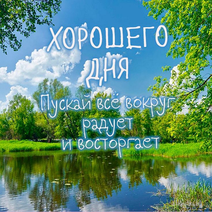 Летний солнечный пейзаж