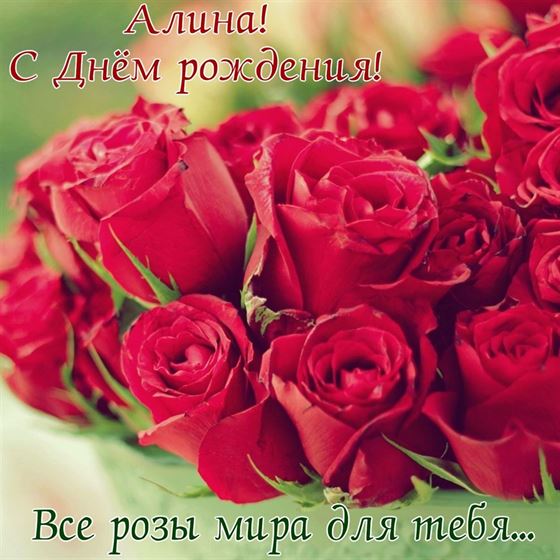 Море алых роз для Алины в День рождения