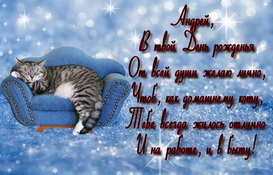 Милый котик поздравляет Андрея с Днем рождения 