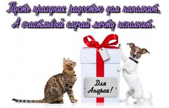 Прикольная открытка с котом и собакой в День рождения Андрея