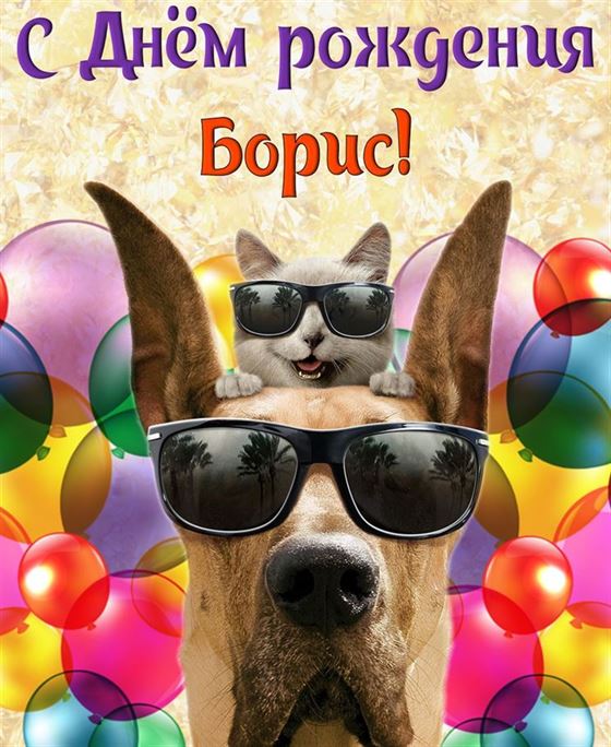Смешная открытка с котом и собакрй на День рождения Бориса
