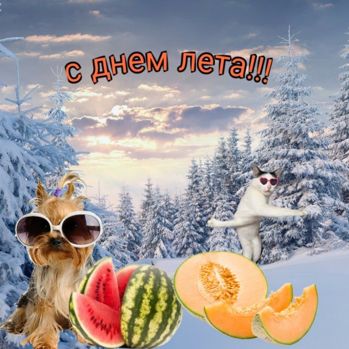 Веселая картинка с днем лета парню отправить