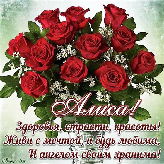 Шикарный букет роз для Алисы на День рождения