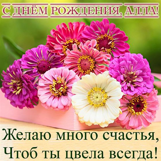 Желаю много счастья Алле в День рождения 