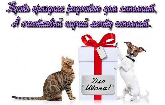 Забавная картинка с подарком и животными на День рождения Ивана