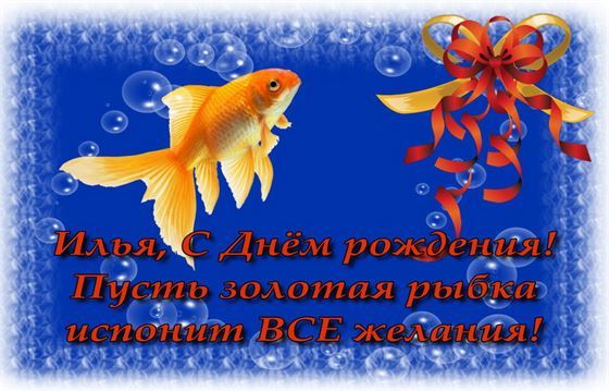 Открытка с золотой рыбкой на День рождения Ильи