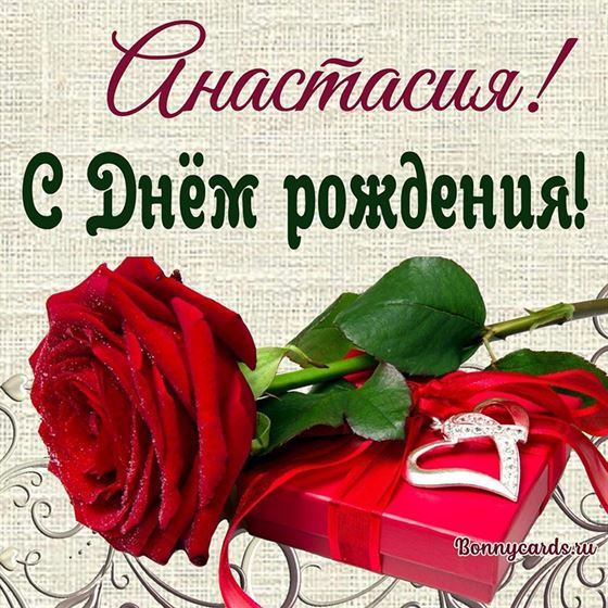 Роза и подарок Анастасии на День рождения