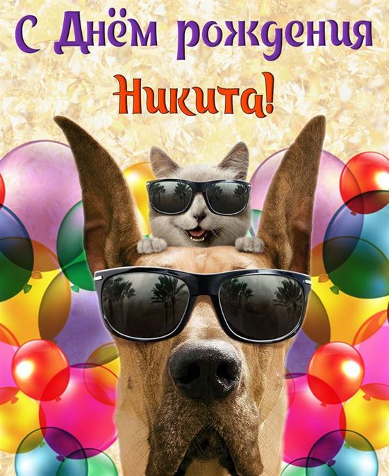Смешная открытка с котом и собакой для Никиты