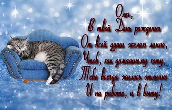 Поздравление со спящим котиком на День рождения Олега
