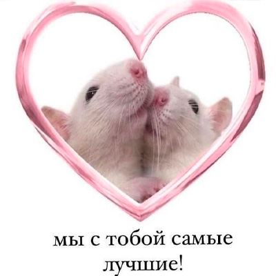 Самой лучшей валентинки на 14 февраля подруге