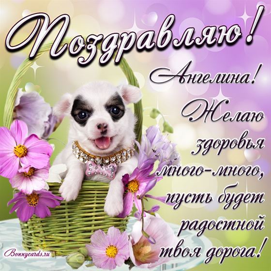 Забавная собачка в корзинке на День рождения Ангелины