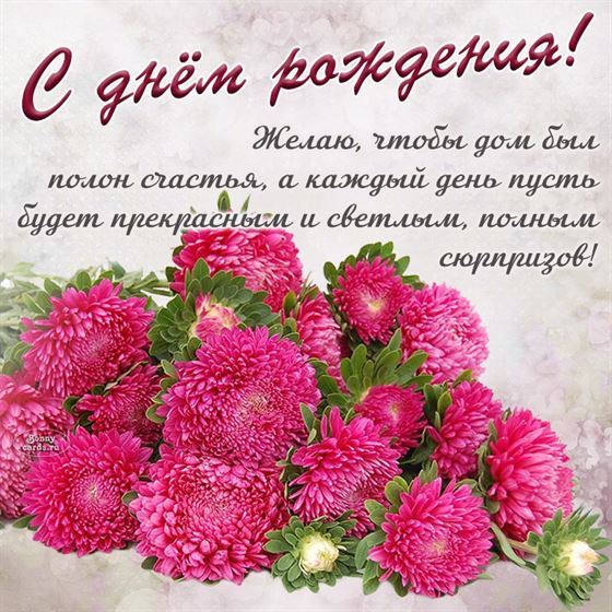 Открытка с астрами женщине на день рождения