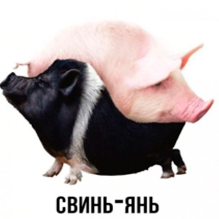 Прикольные открытки с Днем Святого Валентина прикольные открытки с днем святого валентина с тиктока и пинтерест