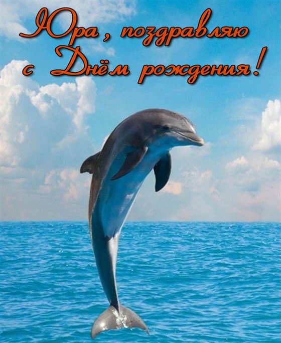 Открытка с дельфином в море на День рождения Юрия