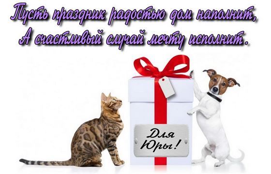 Трогательная картинка с собакой и котом на День рождения Юрия
