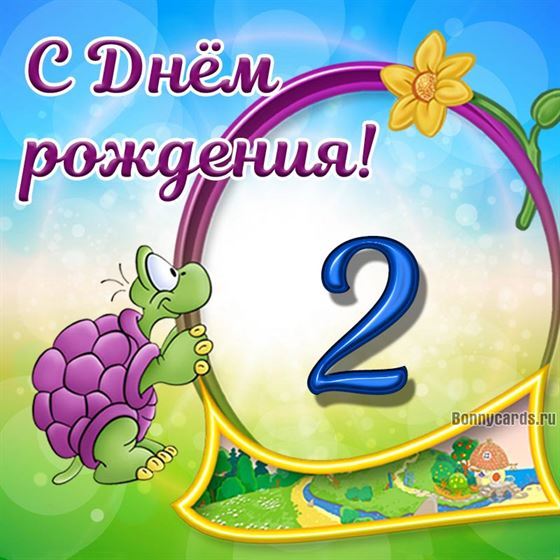 Забавная черепаха на картинке с поздравлениями