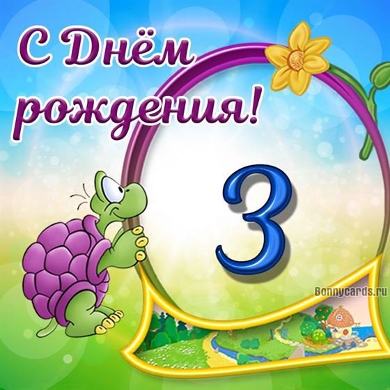 Забавная черепаха на картинке с поздравлениями