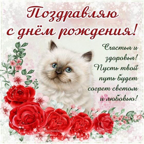 Милая картинка котика, поздравление с днём рождения