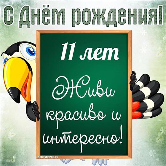 Попугай на картинке с днём рождения 11 лет