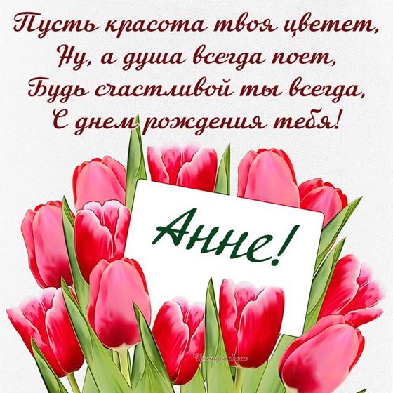 Красивые тюльпаны. поздравлением Анне на День рождения