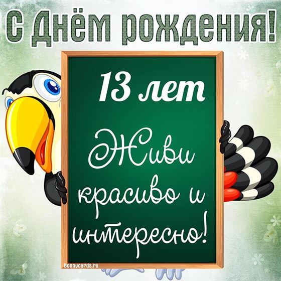 Попугай на картинке с днём рождения 13 лет