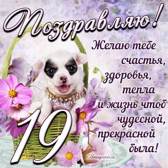 Трогательная открытка с щенком на день рождения 19 летие