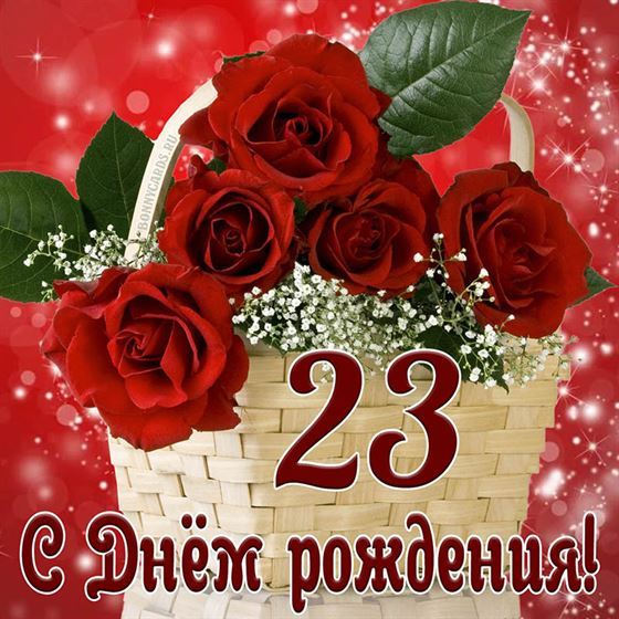 Креативная картинка с розами на 23 летие