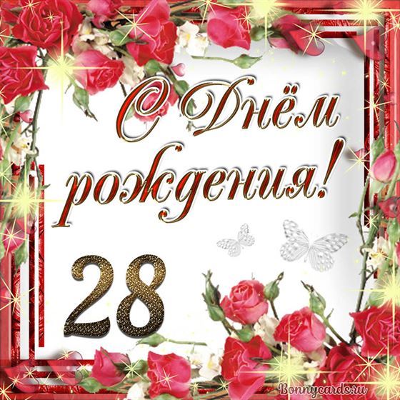 С днём рождения 28 летие на фоне роз