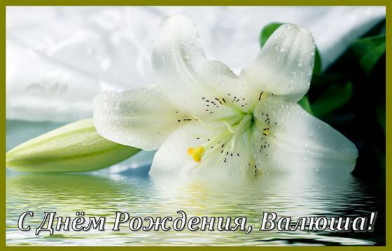 Необычная открытка с белым цветком на День рождения Валентины