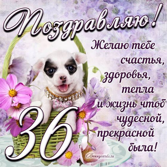 Трогательная открытка с щенком на день рождения 36 летие