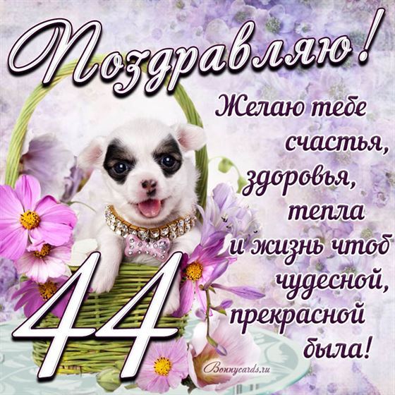 Трогательная открытка с щенком на день рождения 44 летие
