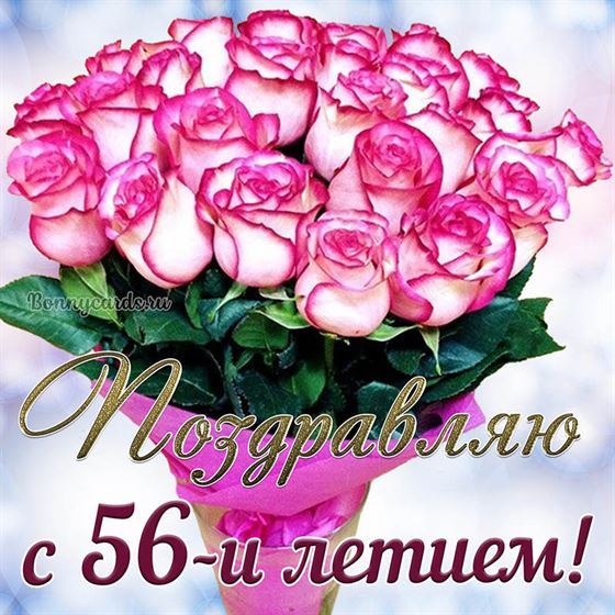 Букет розовых цветов на открытке на 56 летие