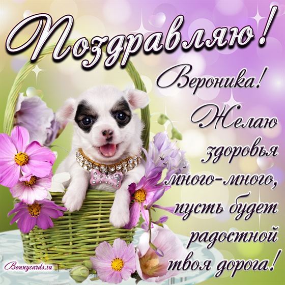 Милый пёсик в корзине и красивое пожелание Веронике