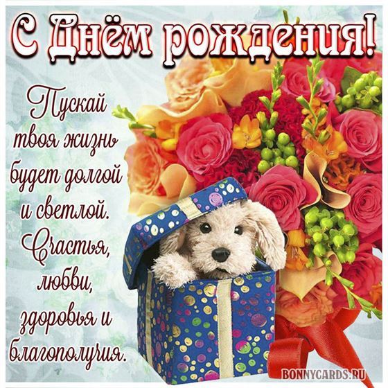 Смешная открытка с щенком в коробке