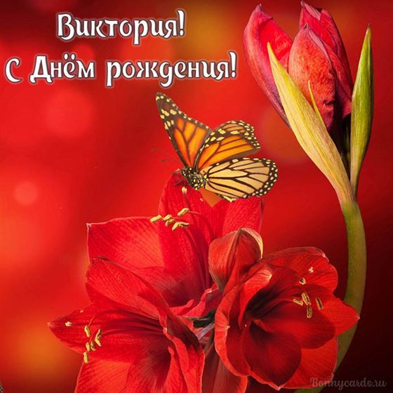 Красивая открытка с бабочкой для Вики на День рождения