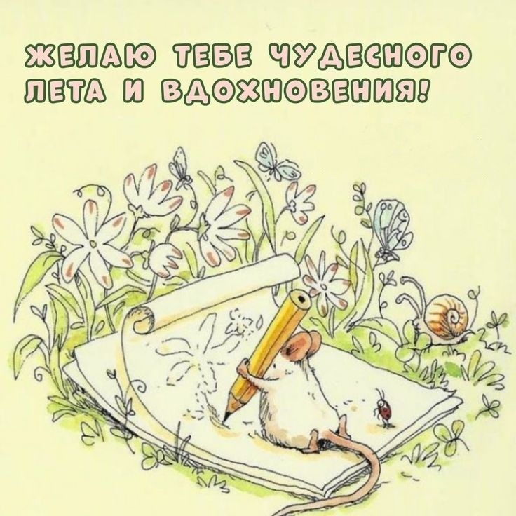 Пожелание летнего дня от белой мышки на лугу