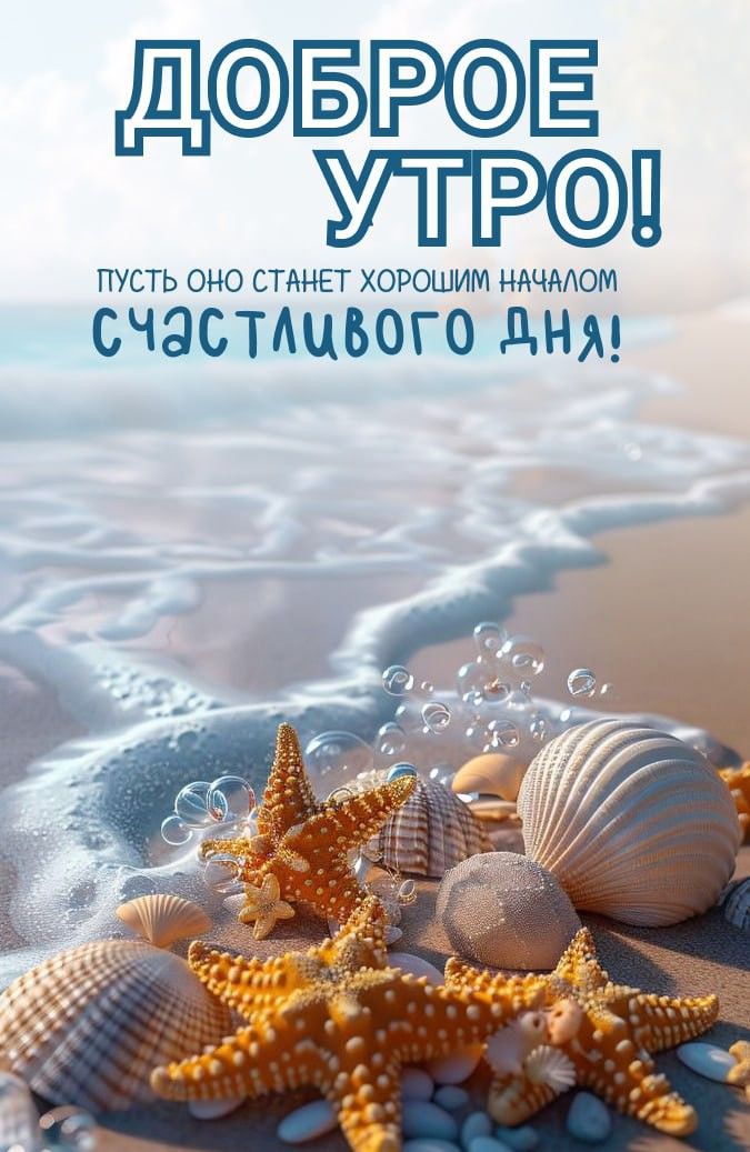 Пляж с морской звездой летним утром