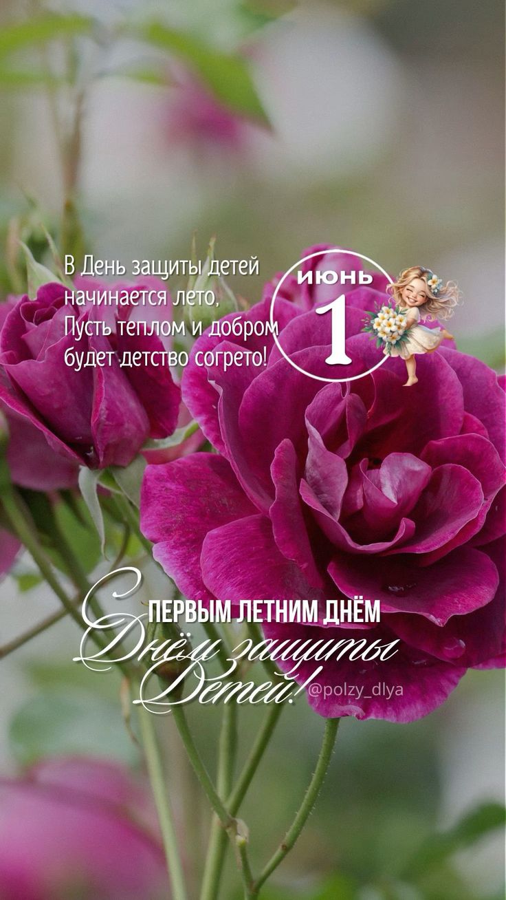 Красивые цветы бардовые