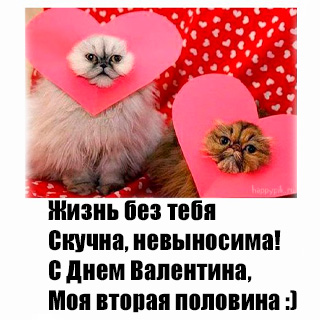 День Святого Валентина картинки на телефон скачать день святого валентина картинки на телефон скачать, котики, коты